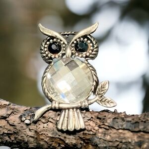 Vintage Rhinestones Brooch Rare Whimsical Owl Pin Brooch Women’s Costume Jewelry